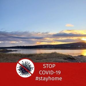 Meet your Posher, Dan